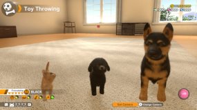 小小伙伴：狗狗猫猫 Little Friends: Dogs & Cats Little Friends: Dogs & Cats