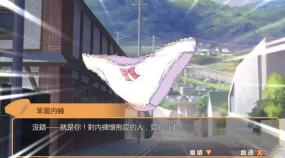 内裤派对（Panty Party）