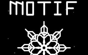 模体 Motif