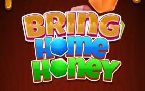 蜂蜜带回家 Bring Honey Home