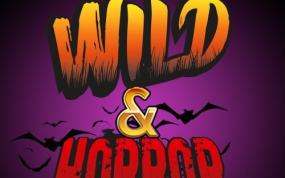 狂野和恐怖弹子球 Wild & Horror Pinball