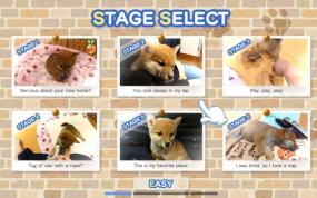 像素游戏制作大师：我爱一条柴犬 Pixel Game Maker Series Shiba Mekuri