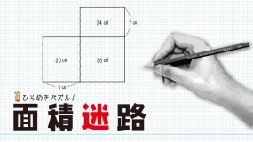 闪烁的拼图 面积迷宫 MENSEKI Area maze puzzles