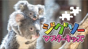 儿童拼图大师 Jigsaw Master Kids