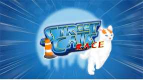 街头猫咪竞速 Street Cats Race