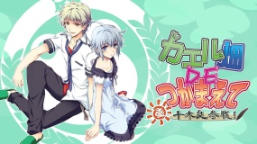 蛙畑奇事 夏 千木良参战！ カエル畑ＤＥつかまえて・夏　千木良参戦！