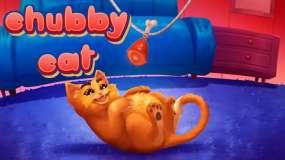 小猪咪 Chubby Cat