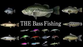 巴斯钓鱼 THE Bass Fishing