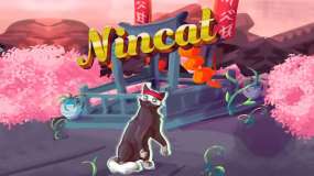 忍者猫 NinCat