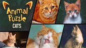 动物拼图猫 Animal Puzzle Cats
