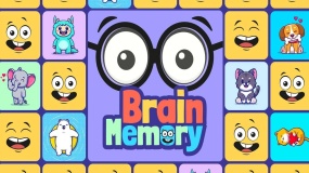 大脑记忆 Brain Memory
