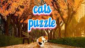 猫咪拼图 Cats Puzzle