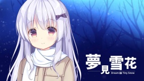 梦见雪花 Dream of Tiny Snow