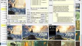 NSGame Manager v10 正式版