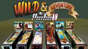 野外 & 冒险家 弹子球 Wild & Adventure Pinball