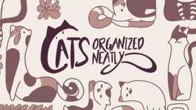 猫咪整齐划一 Cats Organized Neatly
