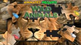 野生动物拼图 Animated Jigsaws: Wild Animals