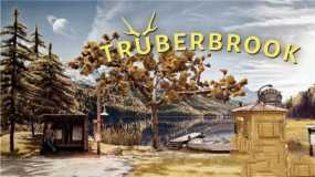 墨池镇 Trüberbrook