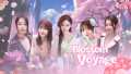 心动恋旅：樱花篇丨Blossom Voyage