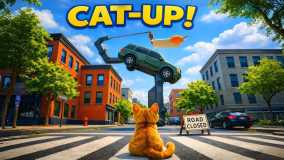 猫咪向上丨Cat-up!