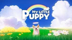 我的小柯基丨My Little Puppy